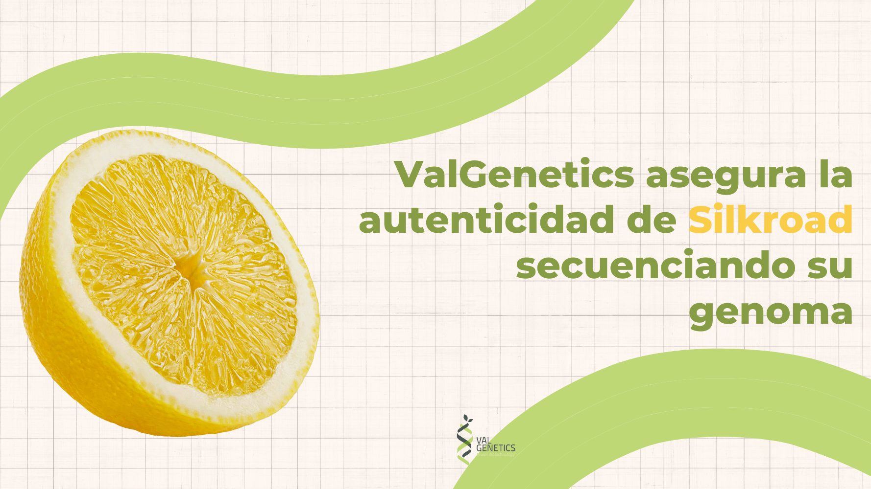 valgenetics silkroad imagen